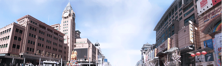 亚洲精品久久久久中文字幕二区