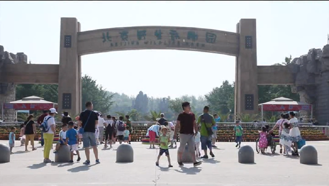 亚洲精品久久久久中文字幕二区