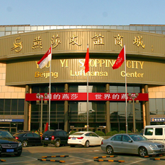 亚洲精品久久久久中文字幕二区