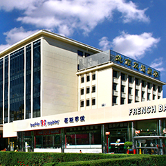 亚洲精品久久久久中文字幕二区