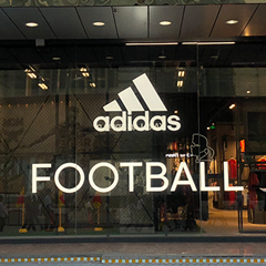 亚洲精品久久久久中文字幕二区