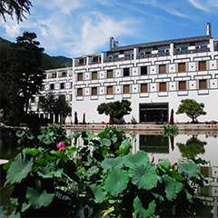 亚洲精品久久久久中文字幕二区