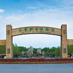 亚洲精品久久久久中文字幕二区