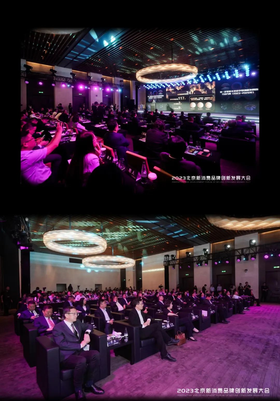 亚洲精品久久久久中文字幕二区