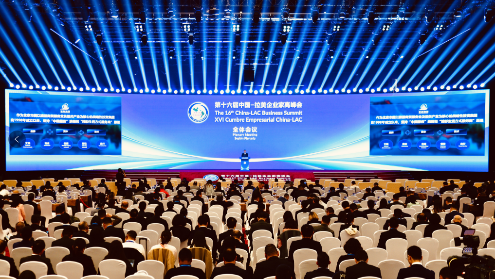 亚洲精品久久久久中文字幕二区