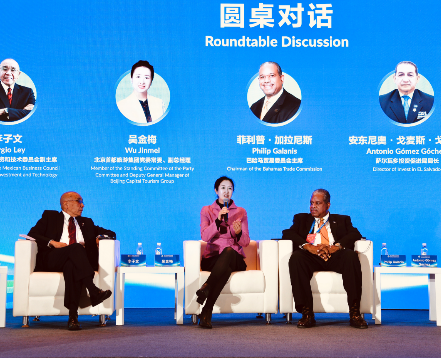 亚洲精品久久久久中文字幕二区